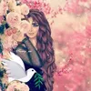 userw0sgbe5bda