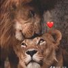sona__babayevaa