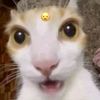 kanzar1_isnotherelol_