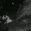 habiba.muhammad110