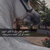 reem.ah6