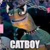 catboy_oogway