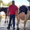 bidezinho