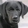 DandanSoy