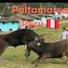 huancavelicano_15