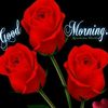 user8834438027147