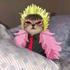ultramantigarasa