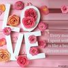 abeehamalik05