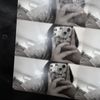 ziqe_08