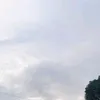 pepepee32
