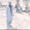 muradmalikk