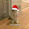 felis_nabidad