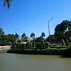 hynh.nhn38