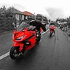 tabuan.kulit