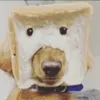 __.___...________.._