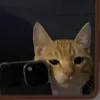 babebibobo0o