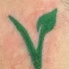vegancate73