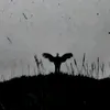 llllll.....lllllll