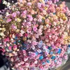 natali_122555