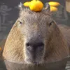 capybarkar