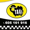 taxibuszakopane