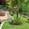 dheedara