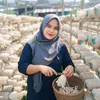 bundahanafi11
