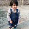 duabatool233