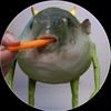 mrmeepff
