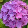 mura_bito_2023