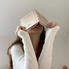 ayeshasshelf