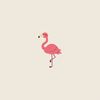 flamingo_67