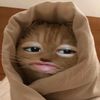 ziiyyyu