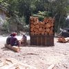 logjatikebumen