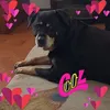 mikymihaiboss