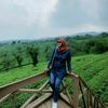 es.n_story