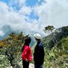 dhill020612