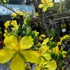 thuannguyen62273