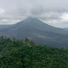 meong_2000