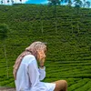 intnprts_