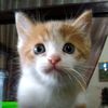 sageru_1315