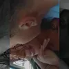 pedroxz._016