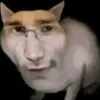 nekit_764