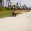 aungaung07764