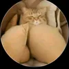 allefu_u