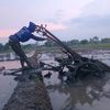kamituwo_dongbleg