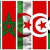 Maghreb Social Divas