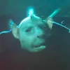 tottigoaltottigoal