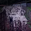 agro_e_pecuariaa