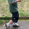 brambi_6